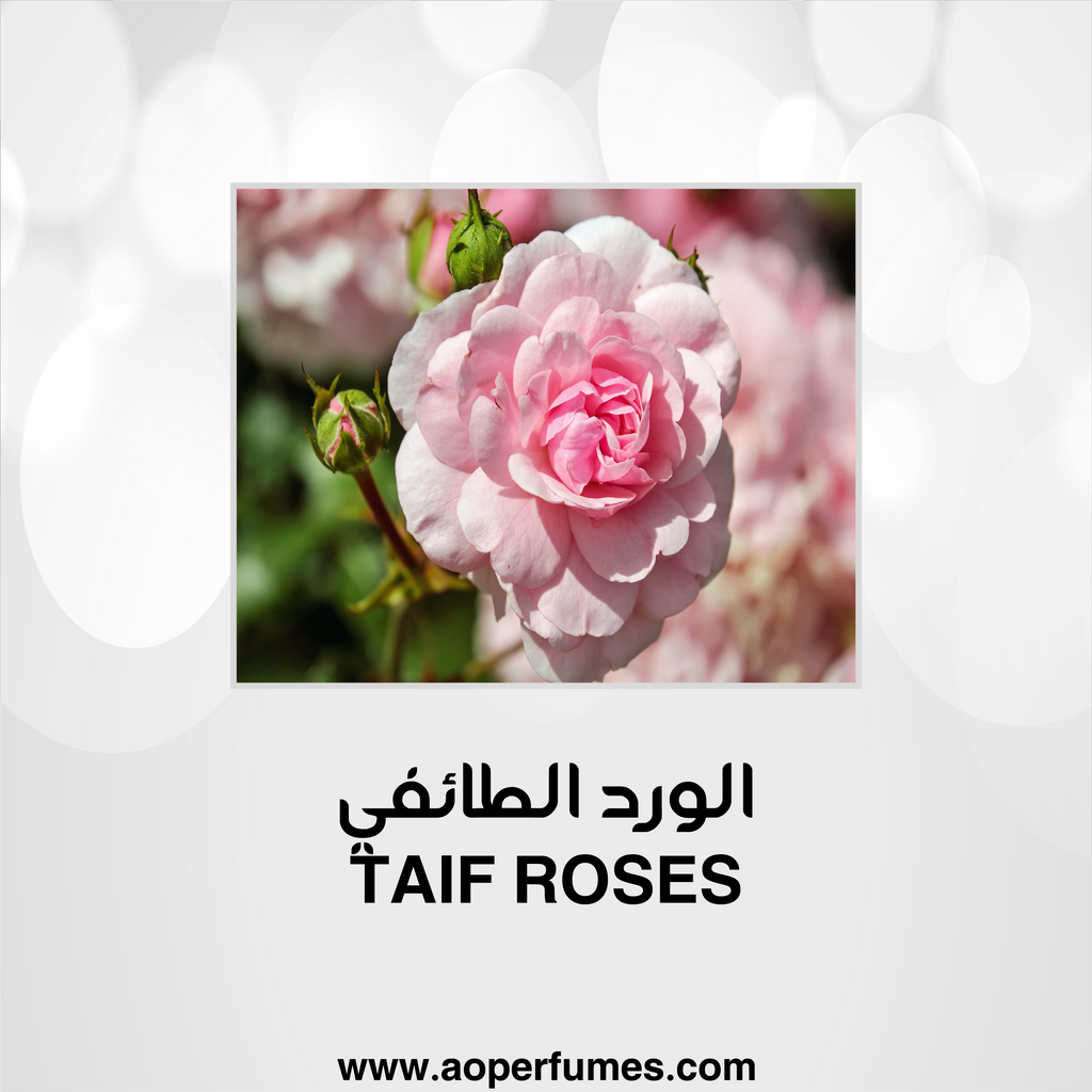 M021- الورد الطائفي - aoperfume