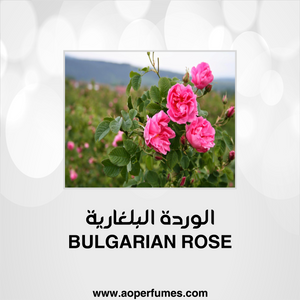 M013- الورد البلغاري - aoperfume