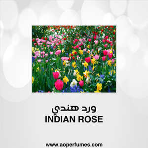 Indian Rose - ورد هندي