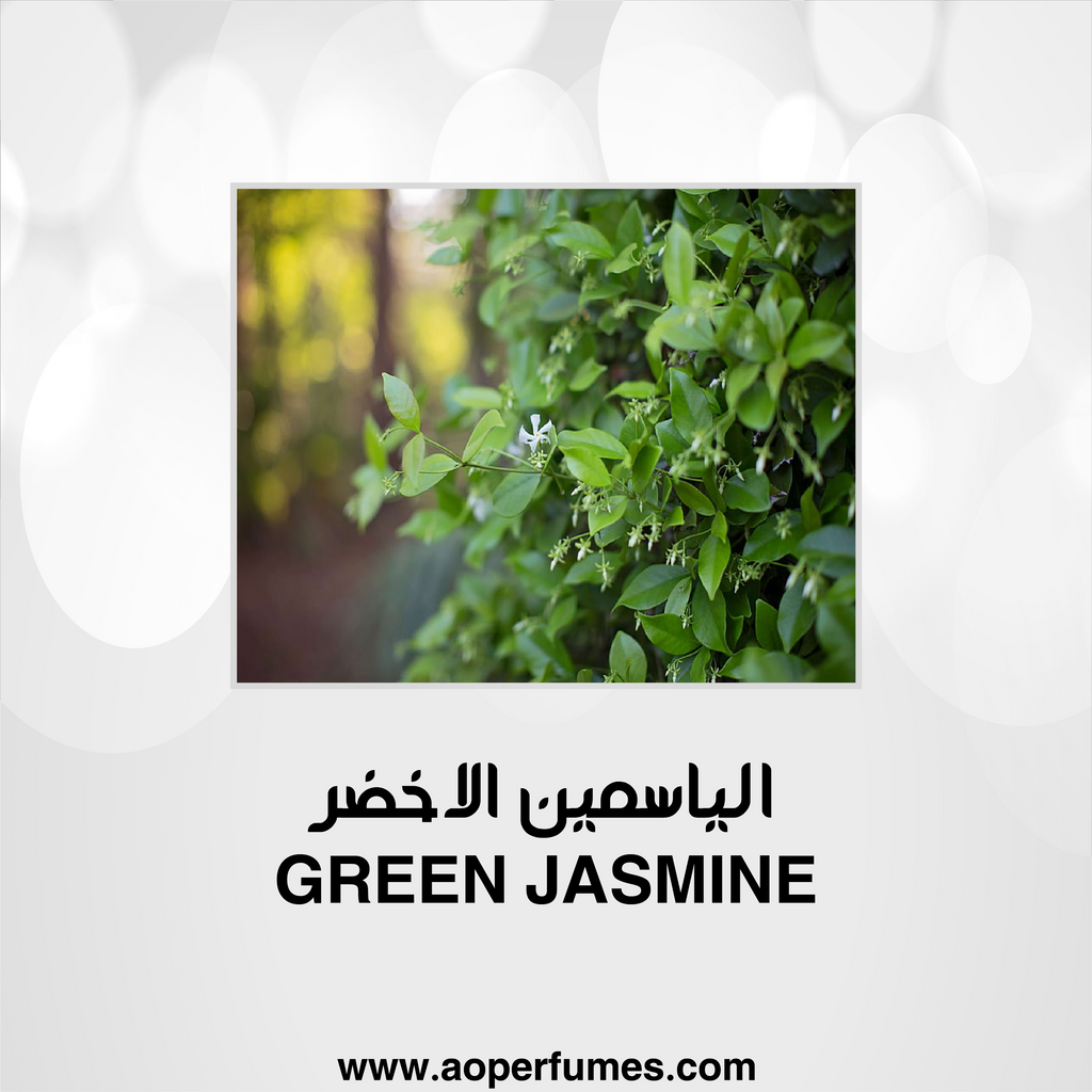 Green Jasmine - الياسمين الاخضر