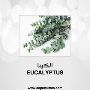 Eucalyptus - الكينا
