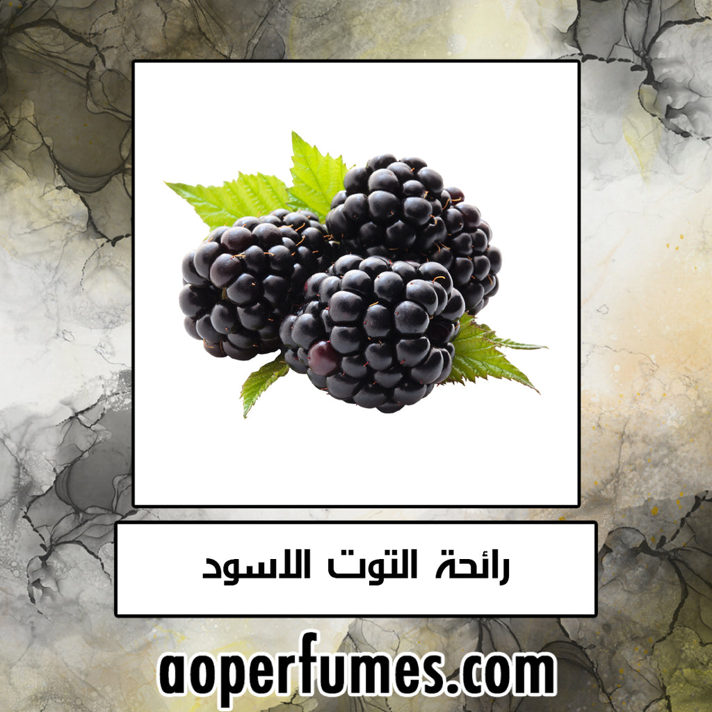 Black Berry - التوت الاسود - aoperfume
